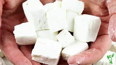بستنی خشک قالبی میان وعده طبیعی و سالم